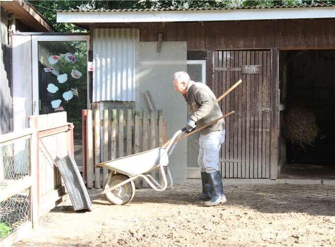 Schubkarren werden auf dem Gelände für viele Arbeiten benötigt!Foto: Melanie Walkenbach
