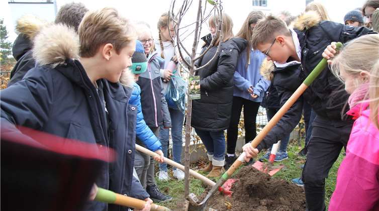 Schüler des SGR pflanzen die Klassenbäume ein.Foto: Gerd Haenschke