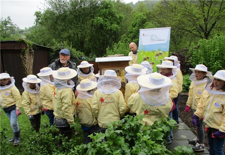 Schüler schauen sich beim Imker die Arbeit der Bienen genauer an.Foto: privat
