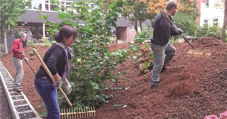 Schüler und Lehrer des RWG packten am Wochenende zur Gestaltung des Innenhofs fleißig an.Privat