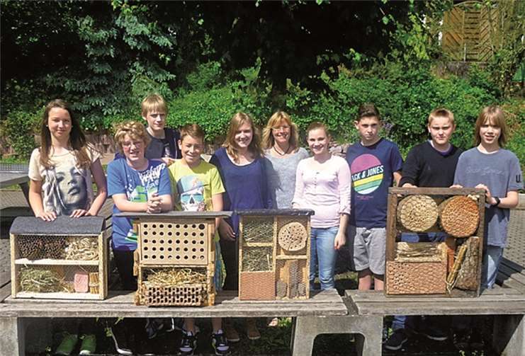 Schüler und Schülerinnen der Wahlpflichtfach-Gruppe „Naturschutz und Ökologie“ haben sich mit dem Thema Insekten auseinandergesetzt.privat
