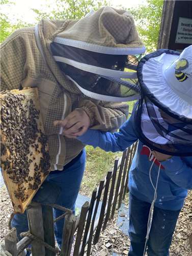 Schülerinnen und Schüler der Klassen 3a und 3b beim Bienen-Workshop mit Schutzkleidung am Bienenstock.