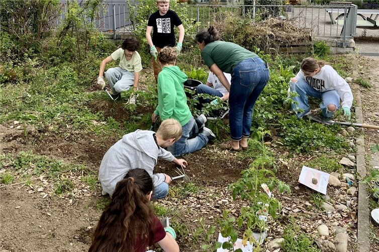 Schülerinnen und Schüler des KSG im Schulgarten