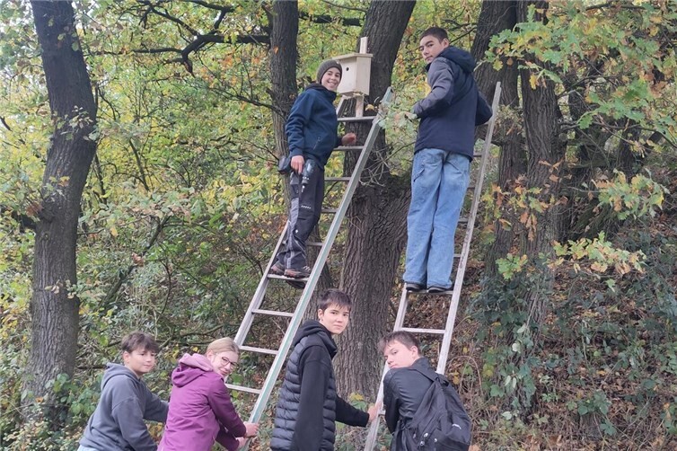 Schülerinnen und Schüler des WPF UTe reparieren die Nistkästen.
