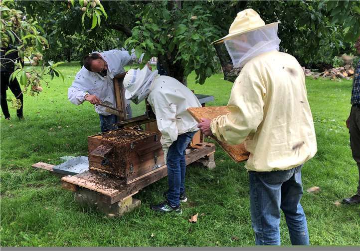 Schülerinnen und Schüler setzen sich im Rahmen des Bildungsansatzes „Erinnern und Zukunft gestalten mit Honigbienen“ mit der Lebensweise der Bienen auseinander.