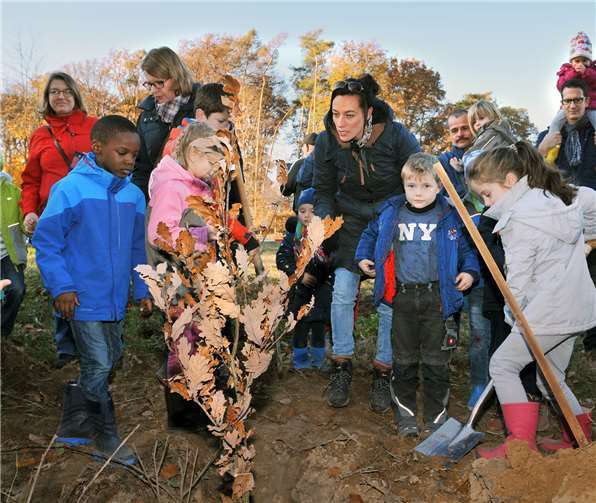 Schulanfänger der Regenbogen-Schule Sinzig pflanzten auch indiesem Jahr wieder einen neuen Baum. Lehrerin Raphaela Schmitz (Bildmitte)war mit über 15 Erstklässlern zur Baumpflanzaktion gekommen. Foto: RASCH