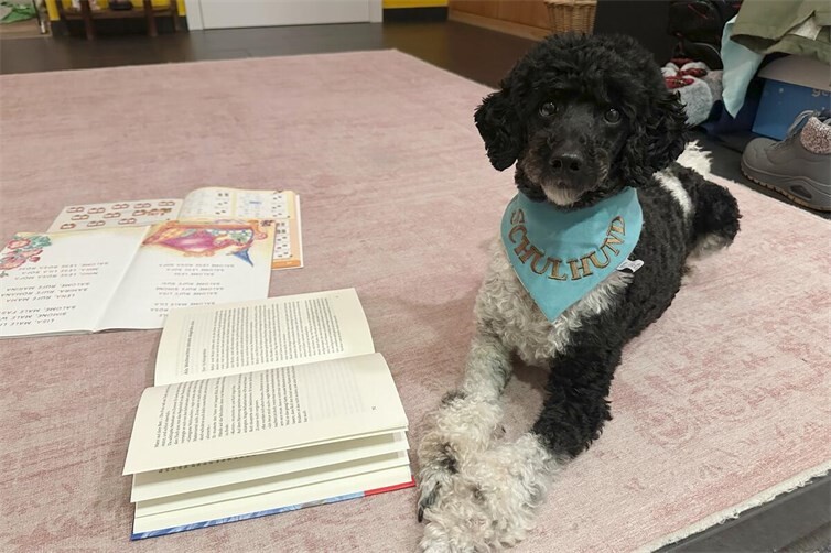 Schulhund Nash begleitet die Kinder im Unterricht an der Freien Waldorfschule Mayen