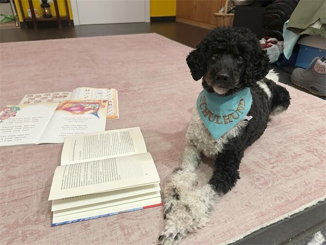 Schulhund Nash besucht die erste Klasse der Freien Waldorfschule Mayen.