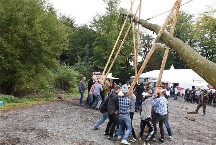 Schwerarbeit mussten Burschenund Helfer beim Aufstellen des Kirmesbaums leisten. Fotos: HEP