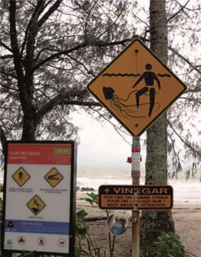 Schwimmen kann hier im April noch tödlich sein.