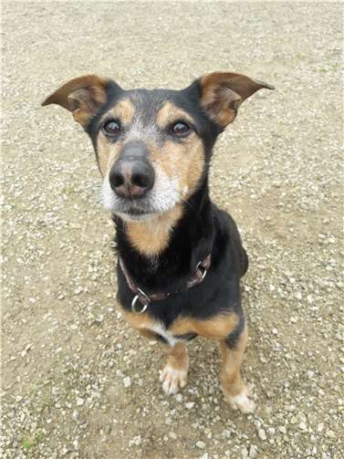 Scooby.. Fotos: privat