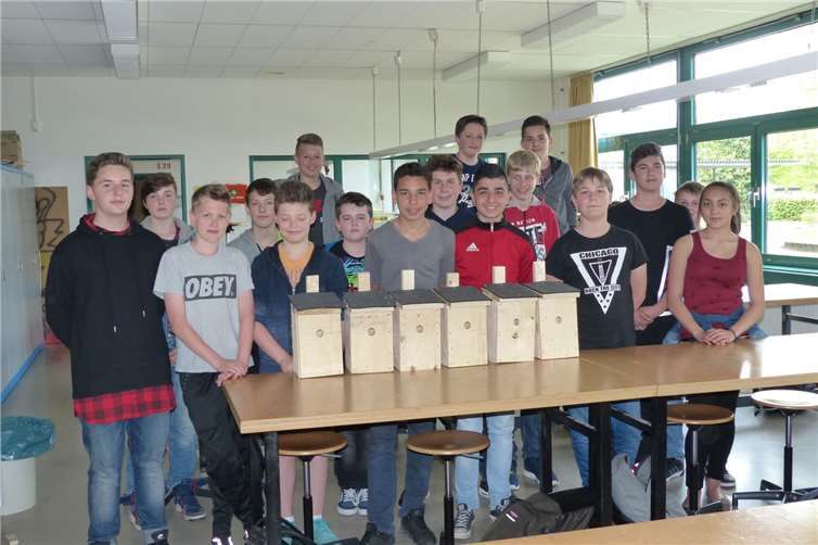 Sechs Nistkästen bauten die 15 Schüler und drei Schülerinnen des Technikkurses.Klaus Januschkewitz