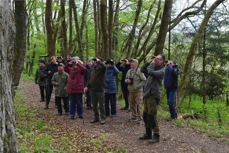 Sehr beliebt: Die Vogelkundliche Frühexkursion der NABU-Gruppe Hundsangen. 