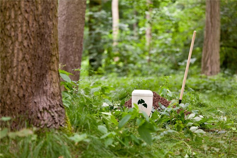 Seit 25 Jahren gibt es in Deutschland die Möglichkeit, Verstorbene im Wald bestatten zu lassen.