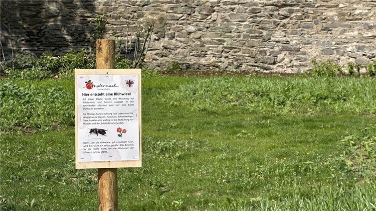 Seit dem Jahr 2000 wird am 22. Mai der „Internationale Tag der biologischen Vielfalt“ begangen.Fotos: Stadtverwaltung Andernach