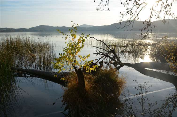 Seit der letzten Woche schaut so mancher Besucher besorgt auf den Lieblings-See der Rheinland-Pfälzer. BE