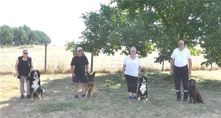 Toller Hundesport wurde geboten Seit einigen Jahren werden auch anders rassige Hunde im Verein ausgebildet. So zeigte eine Gruppe, bestehend aus einem Labrador, einem Berner Sennenhund, einem Appenzeller und einem jungen Schäferhund, was sie schon alles gelernt hat.