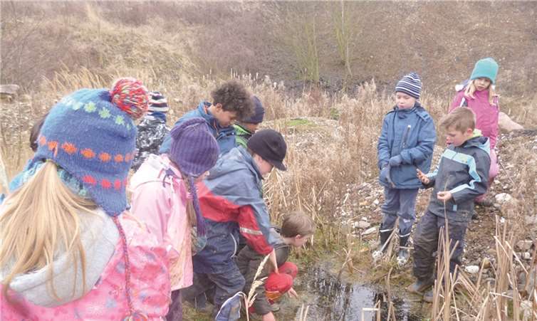 Selbst in den kleinsten Gewässern findet sich jede Menge Interessantes für die Kinder.privat