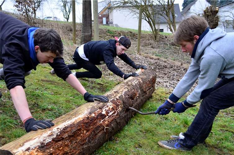 Selbst vor der Schwerarbeit mit diesem Baumstamm haben die Kettiger Jugendliche keine Angst.