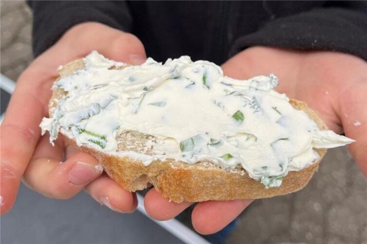 Selbstgemachter Kräuterfrischkäse