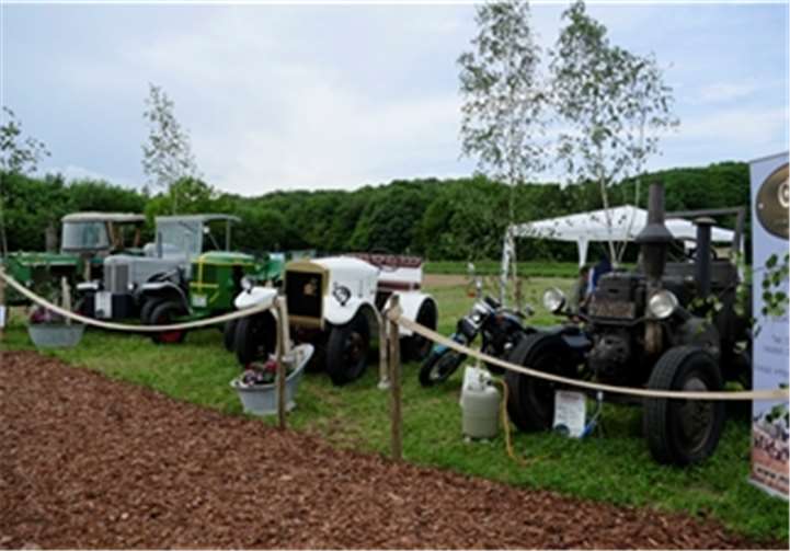 Selten gewordene Traktoren aller Altersklassen gab es zu bestaunen.