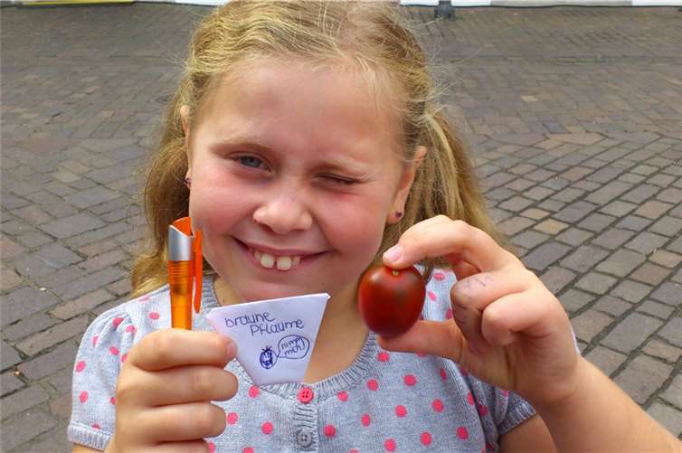 Seltene Arten, wie diese Tomate „Braune Pflaume“ sind eine der vielen Sorten, mit denen sich die Tomaten AG beschäftigt.