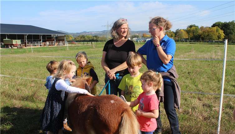 Shetlandpony „Schnucky“ hielt brav still beim Streicheln. Fotos: HG