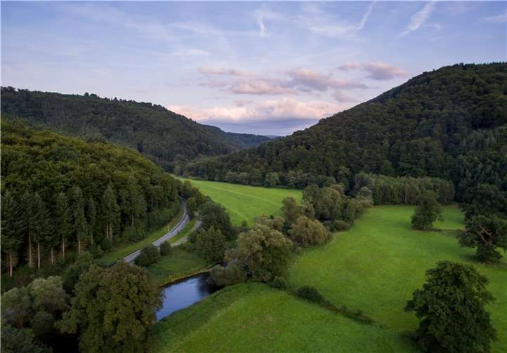 Shinrin Yoku – Baden in der Wald-Atmosphäre. Der nächste Workshop in Waldbreitbach findet am Sonntag, 6. September statt.Foto: Touristik-Verband Wiedtal e.V.