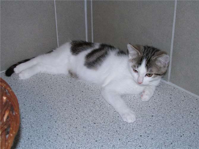 Shirin.  Foto: privat