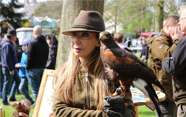 Showeinlage mit Greifvogel