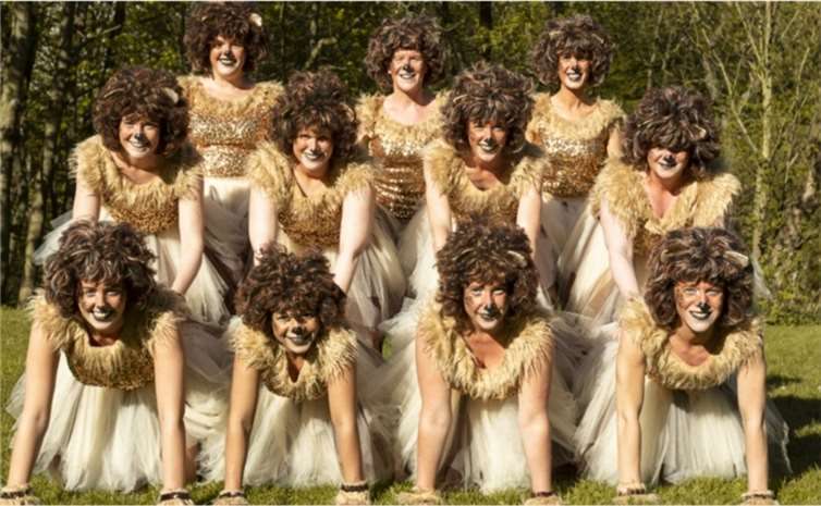Showtanzgruppe Just for fun von der KG Bunte Kuh Walporzheim eV.