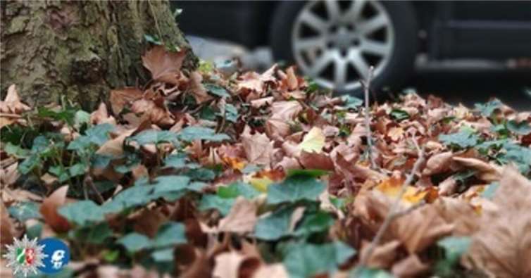Die Polizei gibt Tipps: Sicher durch Herbst und Winter Sicher durch Herbst und Winter - Jetzt auf Winterreifen umrüsten!Foto: Polizei Bonn