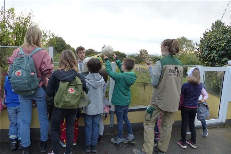 Sie erhalten Einblicke in den Zooalltag.