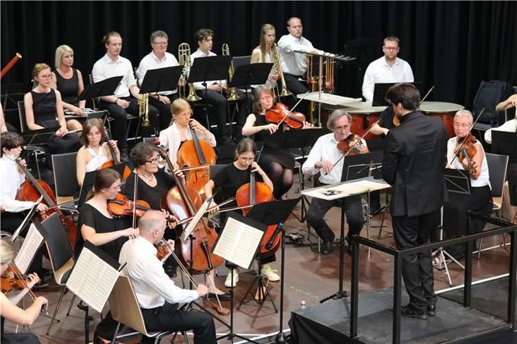 Sie spielen die Symphonie Nr. 5 in c-moll von Ludwig van Beethoven.
