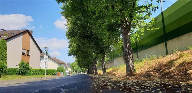 Siebengebirgsstraße vor dem Ausbau.Foto: Danni Niemeyer