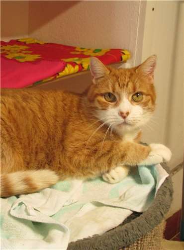 Siegfried. Fotos: privat