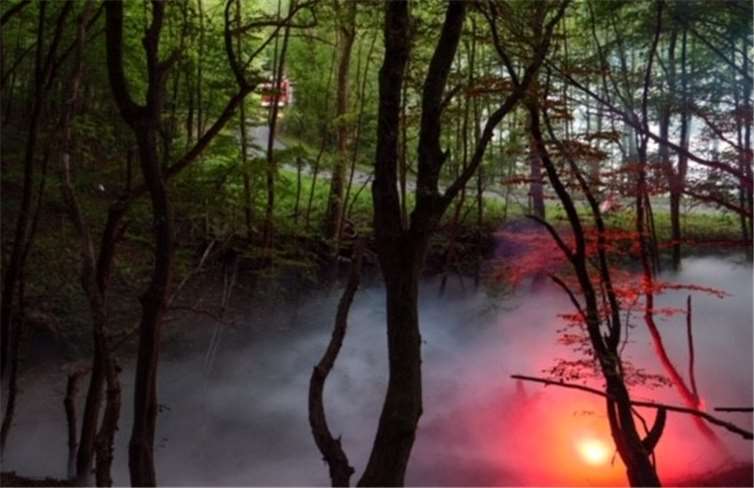 Simulierter Waldbrand im Hallerbachtal.