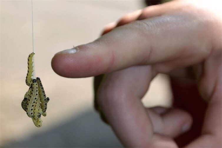 Sind in der Natur zuhause: die Kinder und Jugendlichen von der mission grün
