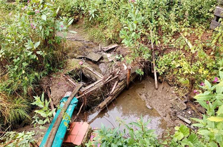 Sinkende Wasserstände und hohe Verdunstungsraten haben gravierend negative Auswirkungen auf alle Pflanzen und Tiere, die auf den Lebensraum am und im Gewässer angewiesen sind. Darauf macht das Umweltreferat der Kreisverwaltung Neuwied aufmerksam.Foto: Martin Boden / Kreisverwaltung Neuwied