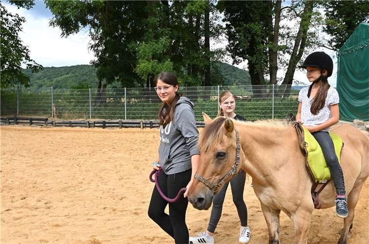Sinzig, Schwanenteich, Sommerfest