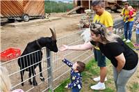 Sinzig, Schwanenteich, Sommerfest