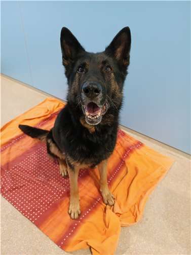 Skalli. Fotos: privat