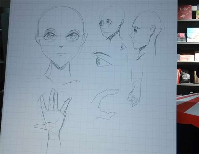 Skizzen vom vergangenen Manga-Workshop. privat