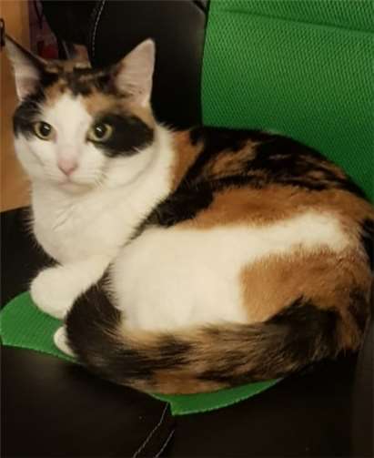 Sky ist bildschön und lieb.privat