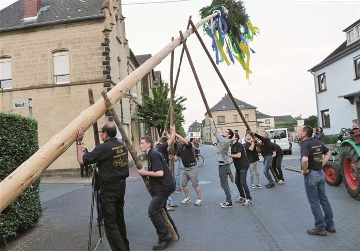 So läuft das Maibaumaufstellen in Obermendig. privat