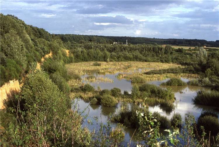So sahen die "Dünstekovener Teiche" in den 1980er Jahren aus.