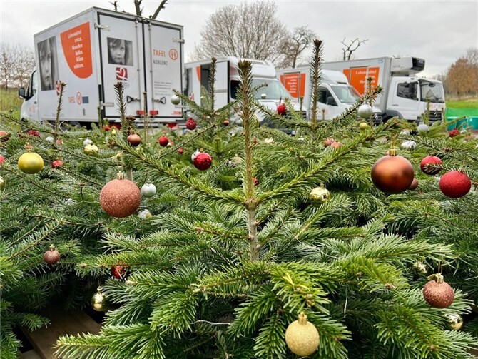 So sehen die festlich geschmückten Weihnachtsbäume des CDU-Nachwuchses aus, die in den vergangenen Jahren für viel Freude und weihnachtliche Stimmung gesorgt haben. Foto: Philip Rünz