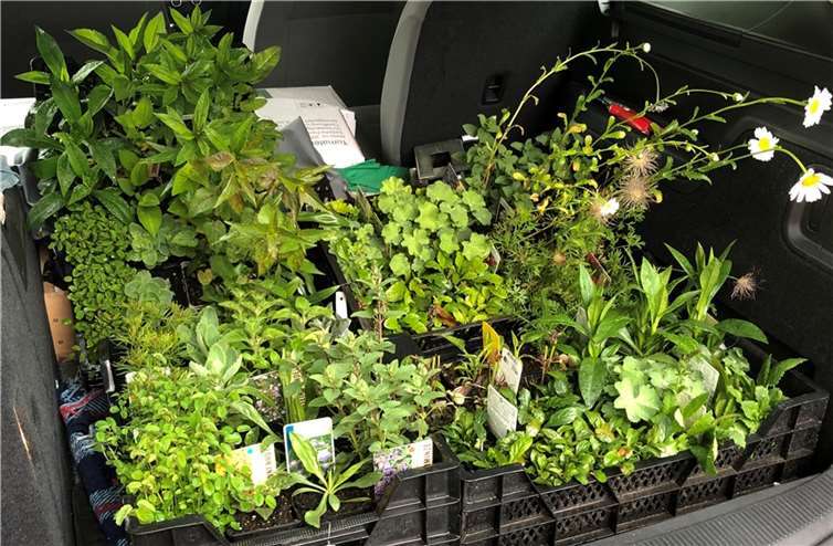 So sehen sie aus, die begehrten Bienenbeetboxen