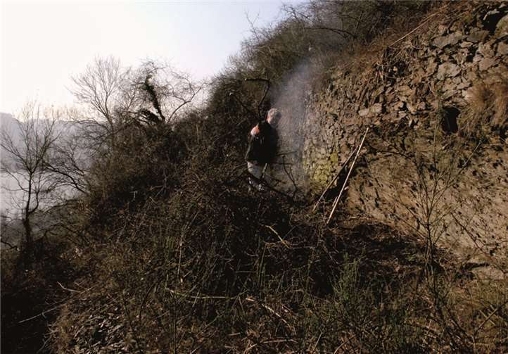 So sieht die mitunter anstrengende Arbeit am Wingert aus.privat