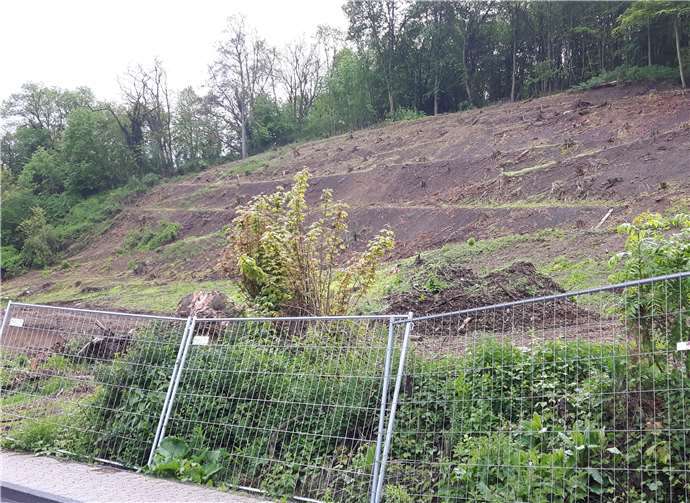 So sieht es jetzt in der Brunnenstraße aus. Hier sollen bald fünf Gebäude mit unterschiedlicher Nutzung entstehen. Foto: HE